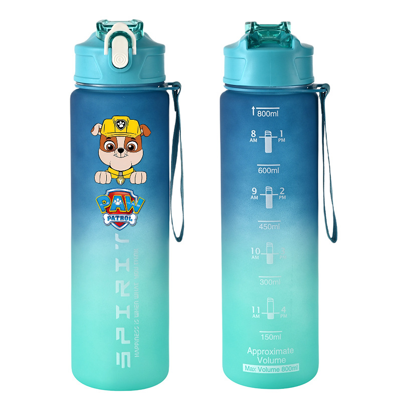 800ml PAW Patrol Sport Bottigl - Kids Outdoor Kitchen Accessories recensione e prezzo