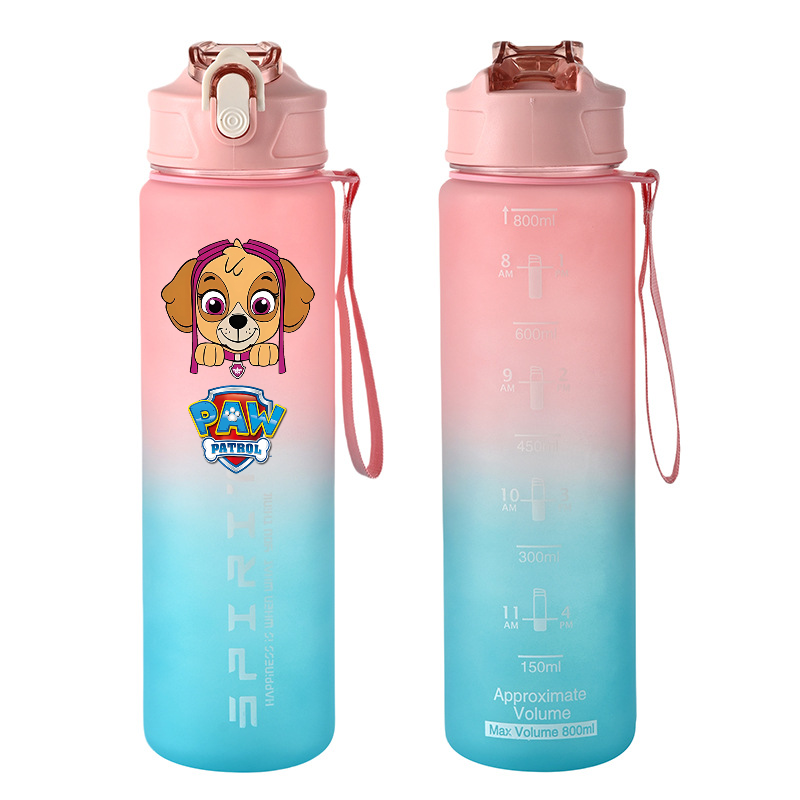800ml PAW Patrol Sport Bottigl - Kids Outdoor Kitchen Accessories recensione e prezzo
