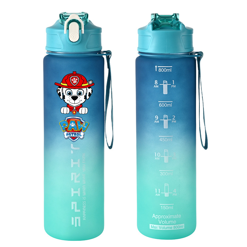 800ml PAW Patrol Sport Bottigl - Kids Outdoor Kitchen Accessories recensione e prezzo